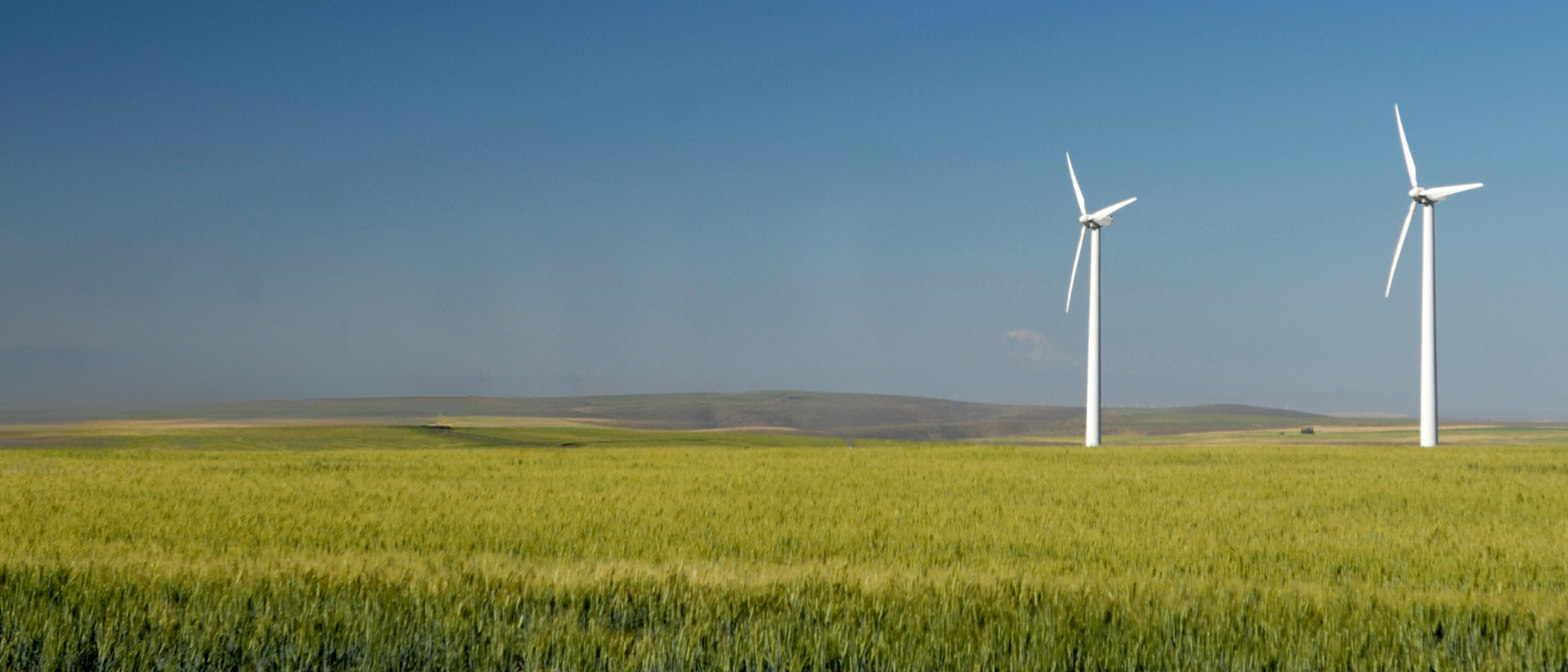 energy and carbon home