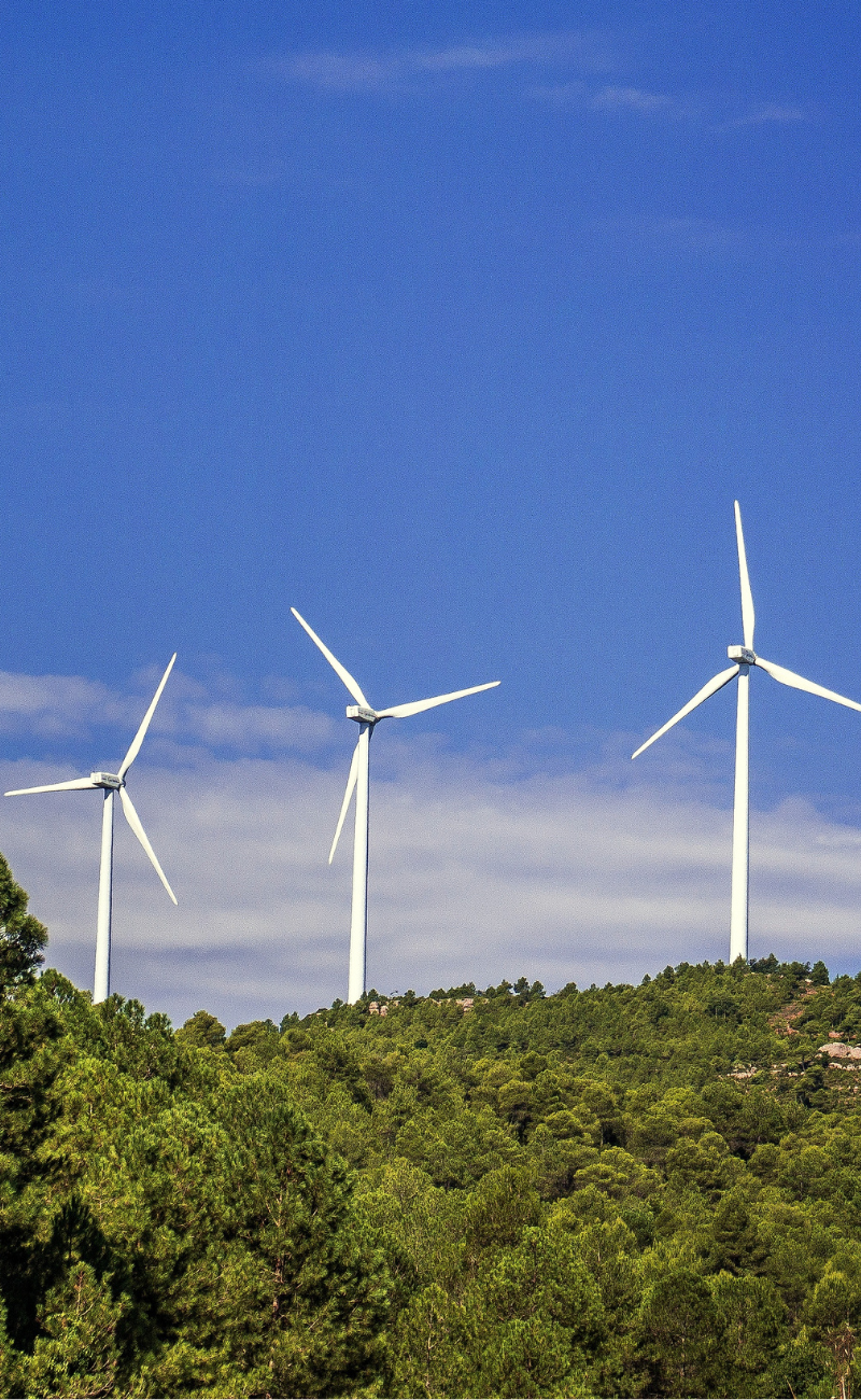 energy and carbon services